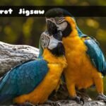 Parrot Jigsaw