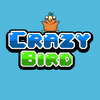 Crazy Bird